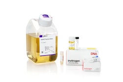 Gibco™ Freedom™ ExpiCHO-S™ Kit